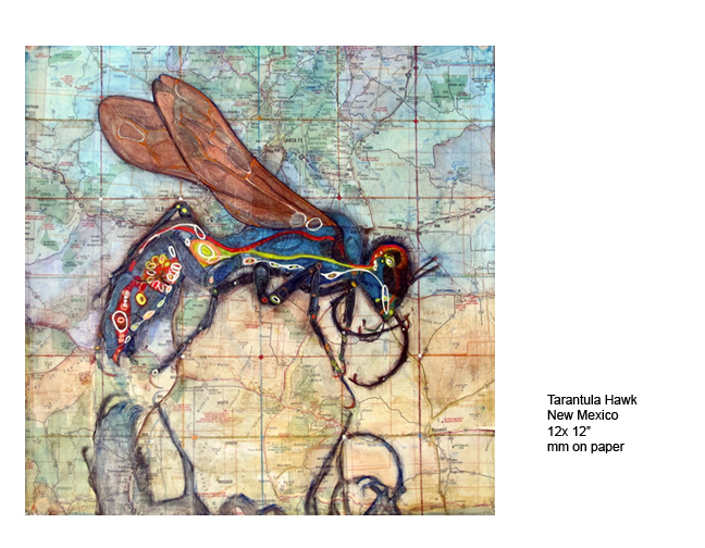 Tarantula Wasp